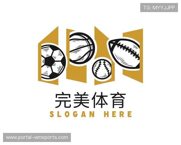 关于完美体育官网